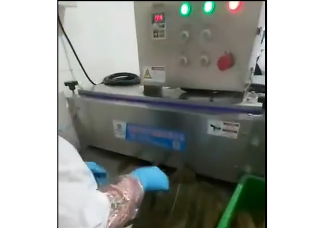粽叶清洗机