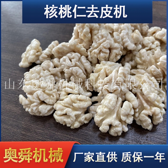 核桃仁加工设备