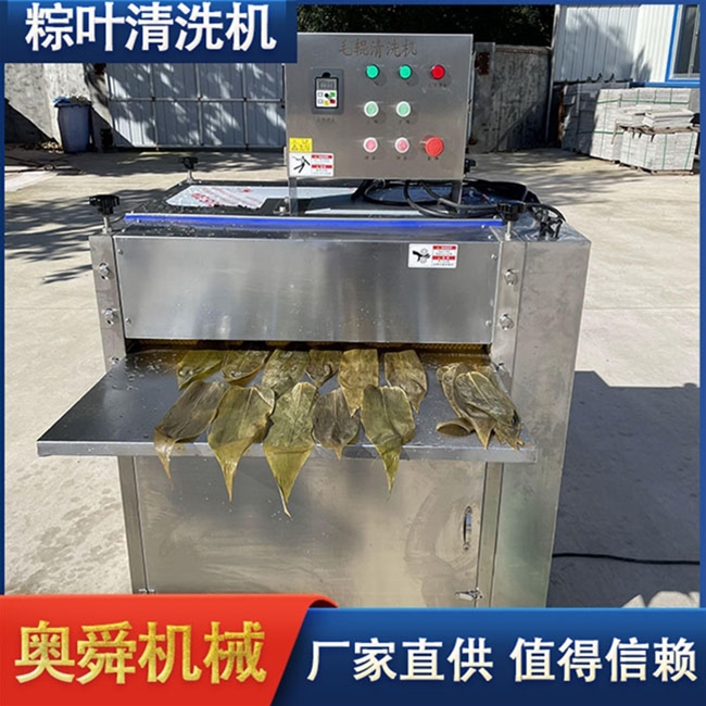 槲叶粽叶清洗机 奥舜机械洗粽叶机 洗叶机