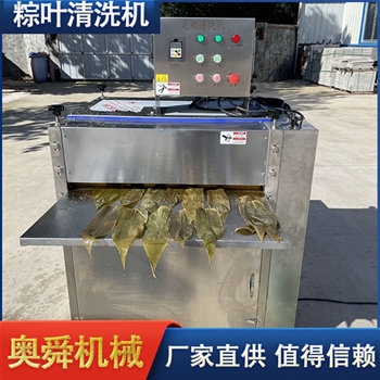 槲叶粽叶清洗机 奥舜机械洗粽叶机 洗叶机