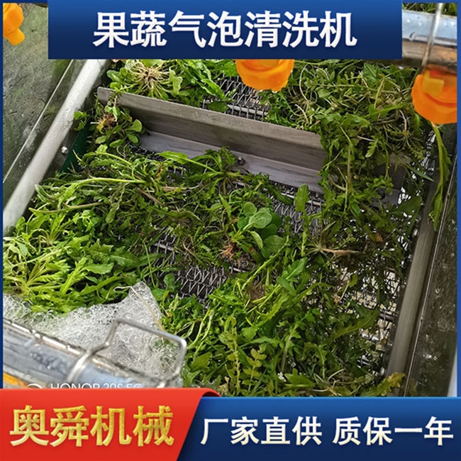 蔬菜清洗机 奥舜机械菠菜芹菜清洗机 叶菜清洗设备