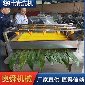 双层粽叶毛辊清洗机 粽子全套设备 洗粽叶机