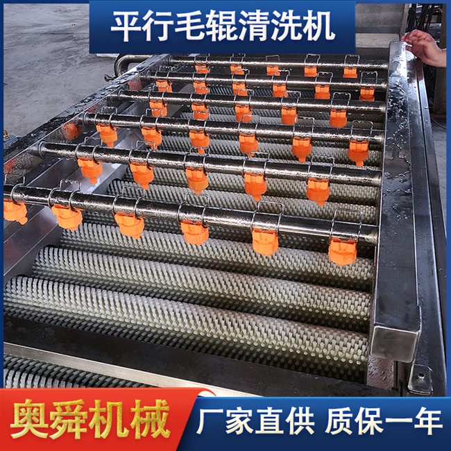 销售平行毛辊清洗机 扇贝鲍鱼高压清洗机 不锈钢海产品清洗机