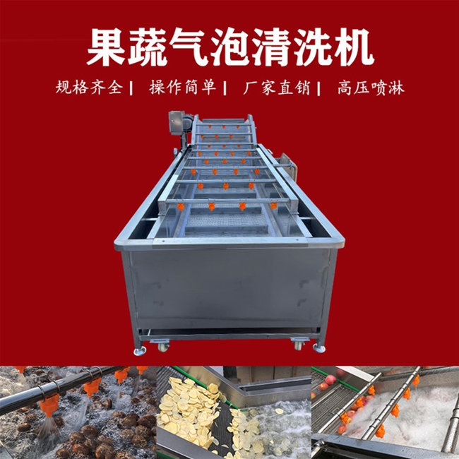 多功能气泡清洗机 韭菜蔬菜自动清洗设备 大型洗菜机设备
