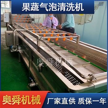 大型不锈钢果蔬清洗机 瓜果苹果气泡清洗机 竹笋气泡清洗机