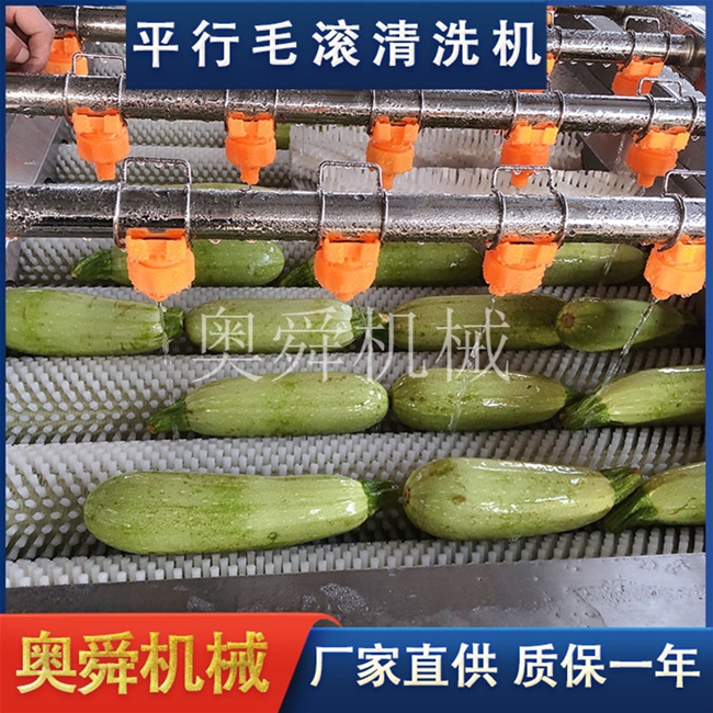 苹果平行毛辊清洗机 现货果蔬快速去泥设备 源头厂家清洗橘子机器