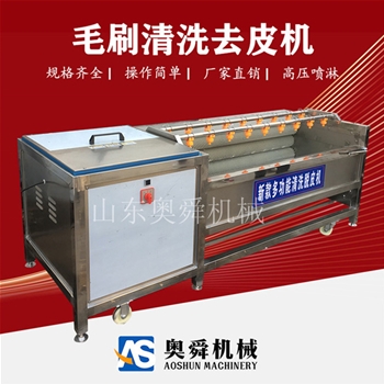 小型毛辊清洗机 土豆清洗去皮机 现货红薯去皮机