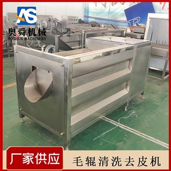 核桃清洗去杂机 不锈钢洗核桃的机子 核桃毛辊清洗机 